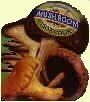 Totally Mushroom Cookbook