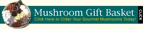 Gourmet Mushroom Gift Basket