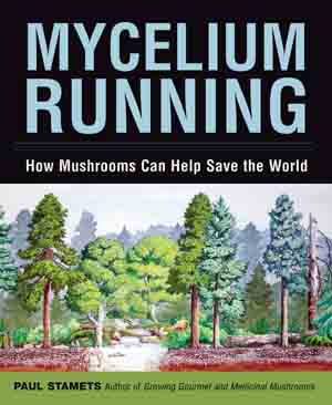 Mycelium Running - Book